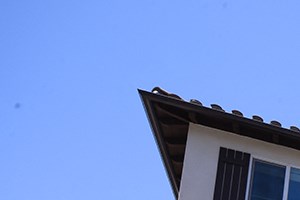Yolo Apartments Building Exterior Tree Planter